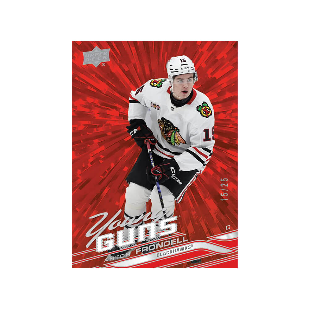 2026-27 Upper Deck Series 1 Hobby Box